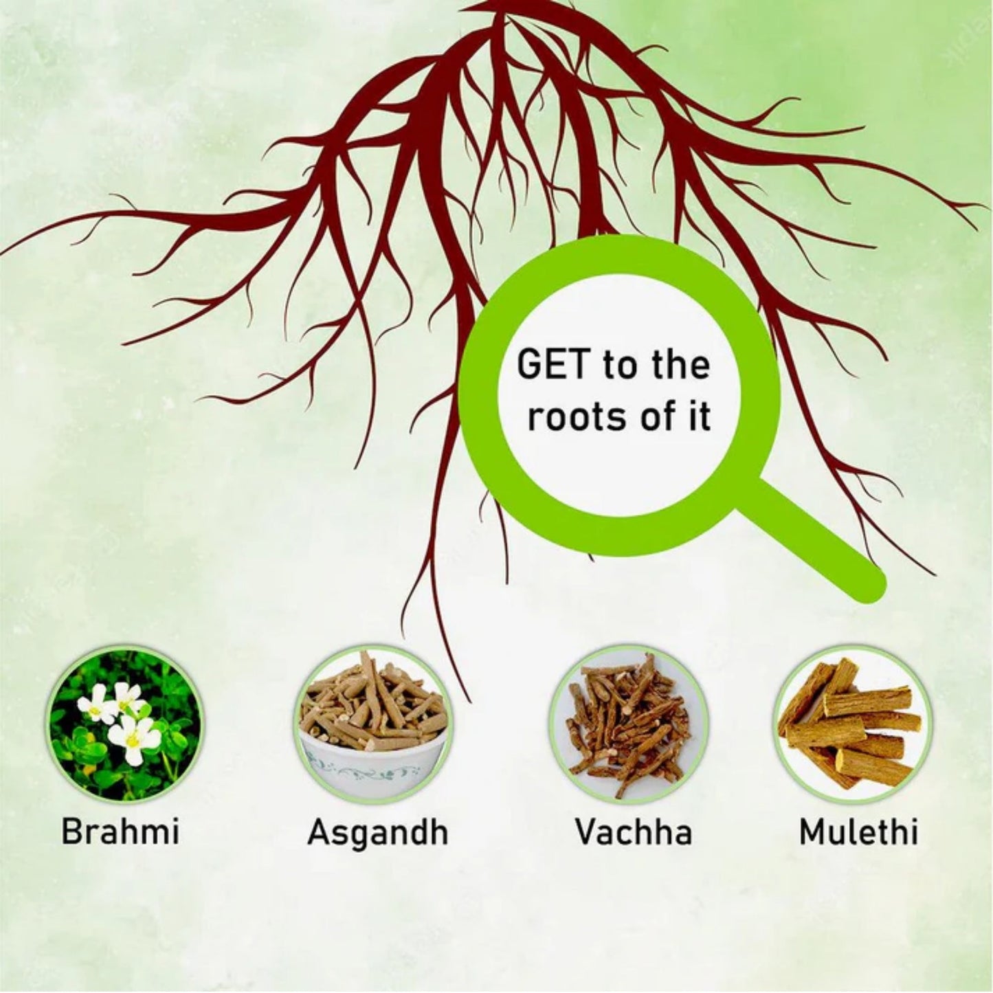 Cipzer Dr Migrain 60 Capsules | Herbal Migraine Relief, Headache Care, Stress & Nerve Support