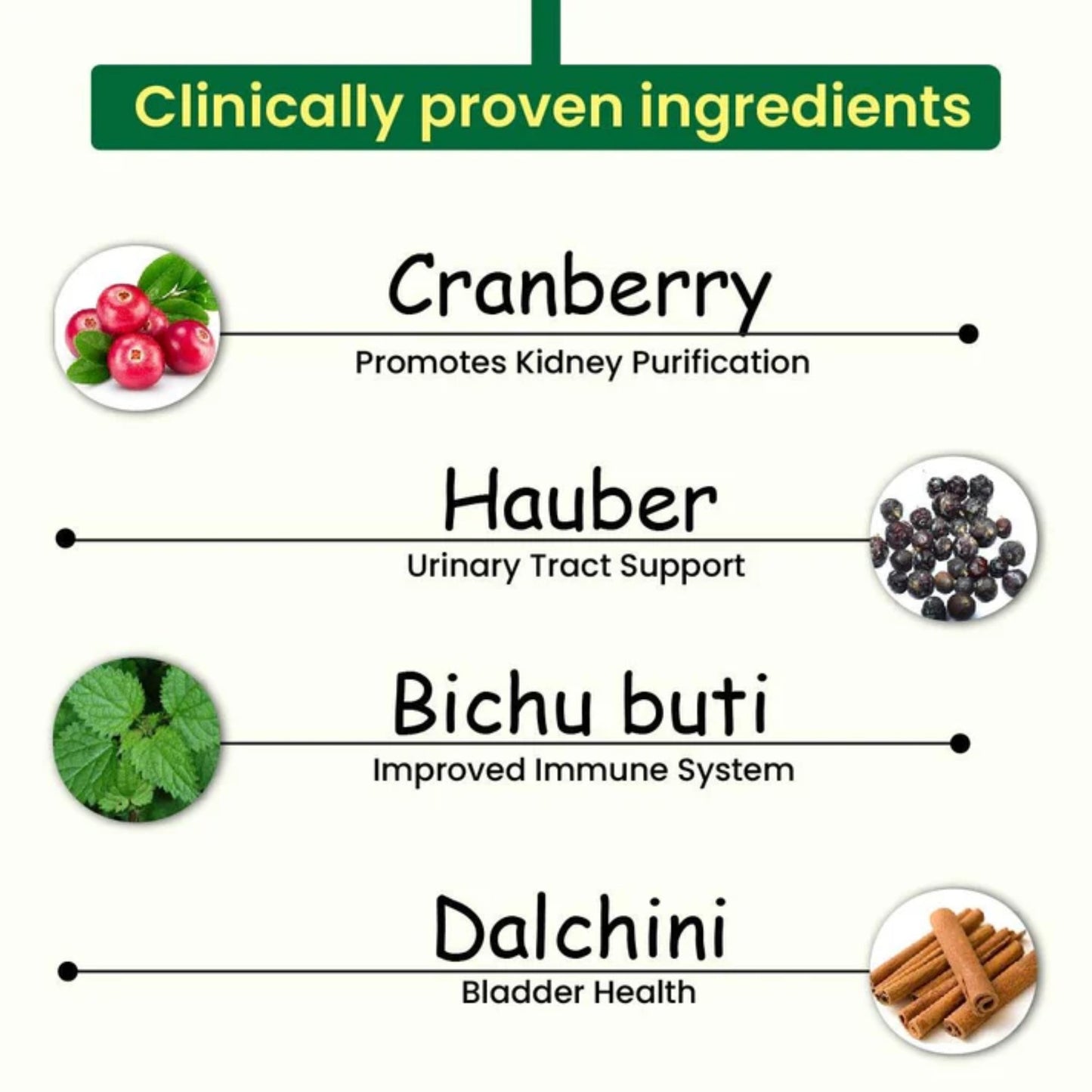 Cipzer Kidney Wellness 60 Capsules | Herbal Support For Kidney Stones, Urinary Tract & Detox Health