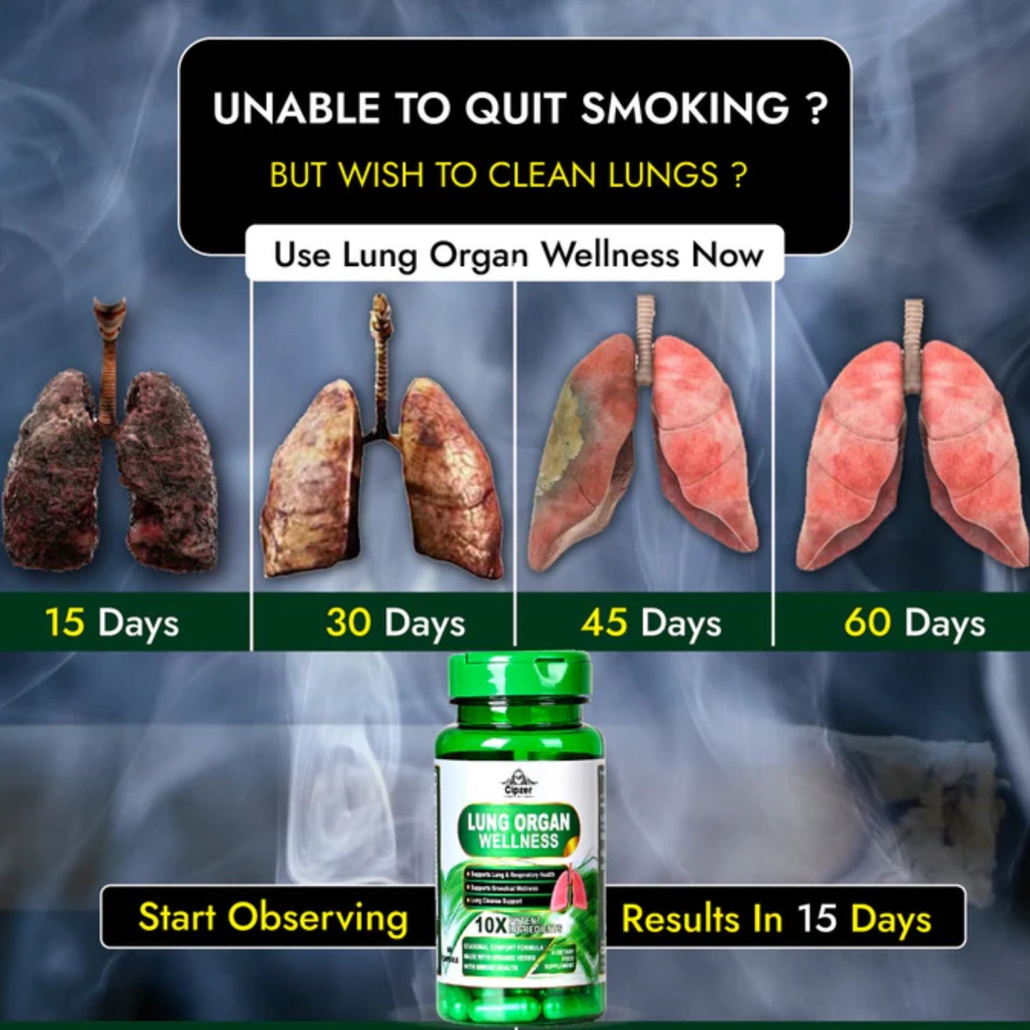 Cipzer Lung Organ Wellness 60 Capsules | Herbal Support for Smokers’ Lungs, Breathing & Detox Health