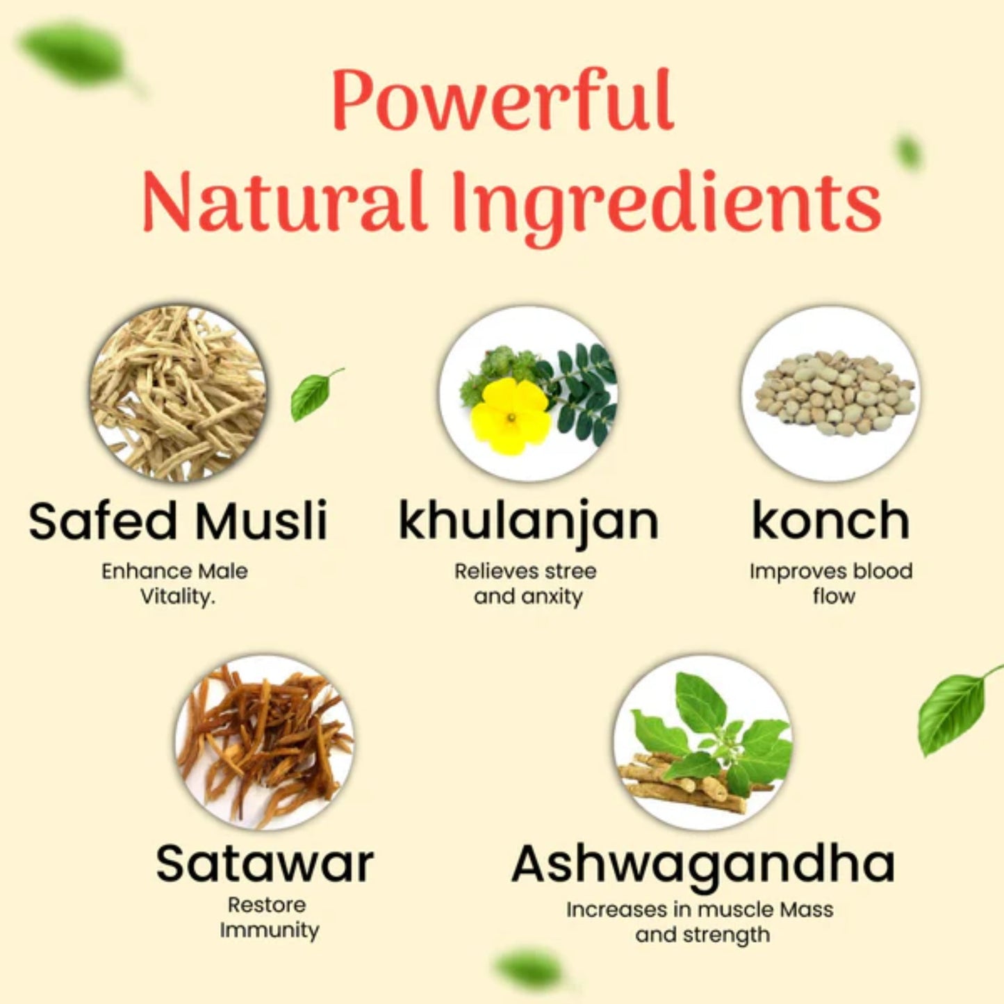 Cipzer Safoof Beejband 50 Grams | Herbal Powder for Extra Stamina, Performance & Sperm Quality Support