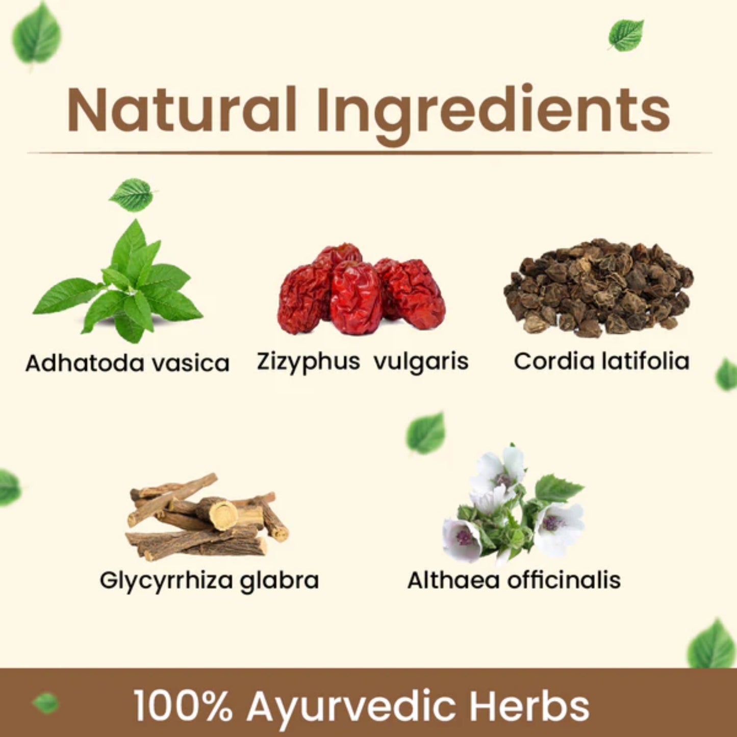 Cipzer Sharbat-E-Ejaz - 500ml