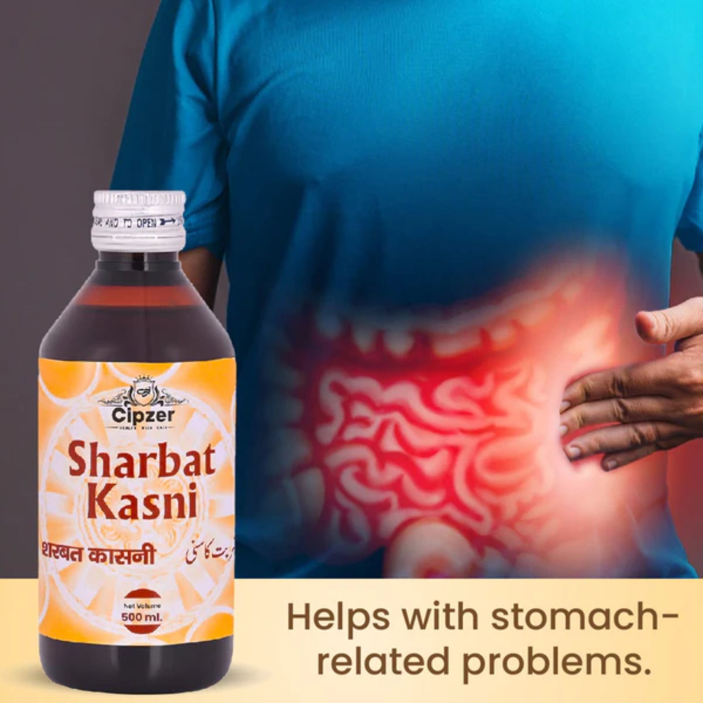 Cipzer Sharbat Kasni - 500ml