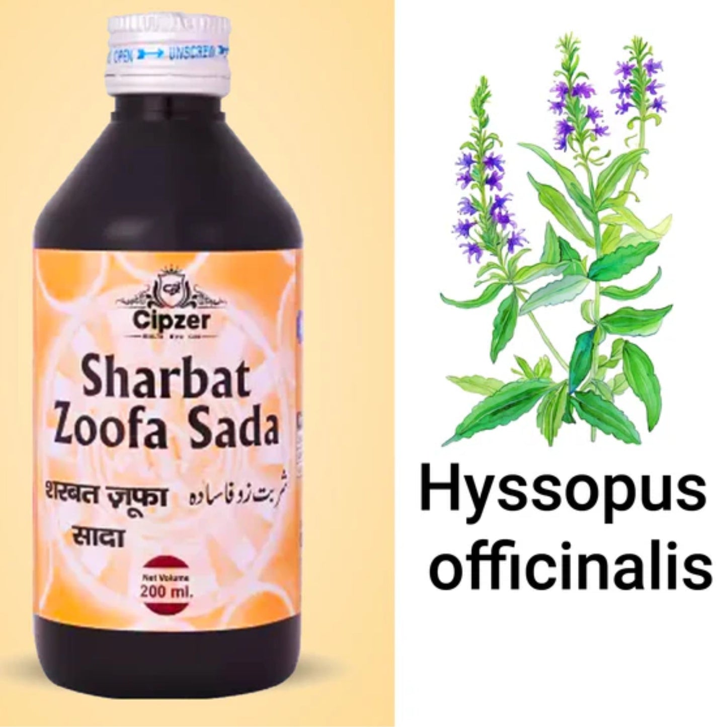 Cipzer Sharbat Zoofa Sada 200 ML | Herbal Syrup for Cough, Cold, Flu, Asthma & Respiratory Care
