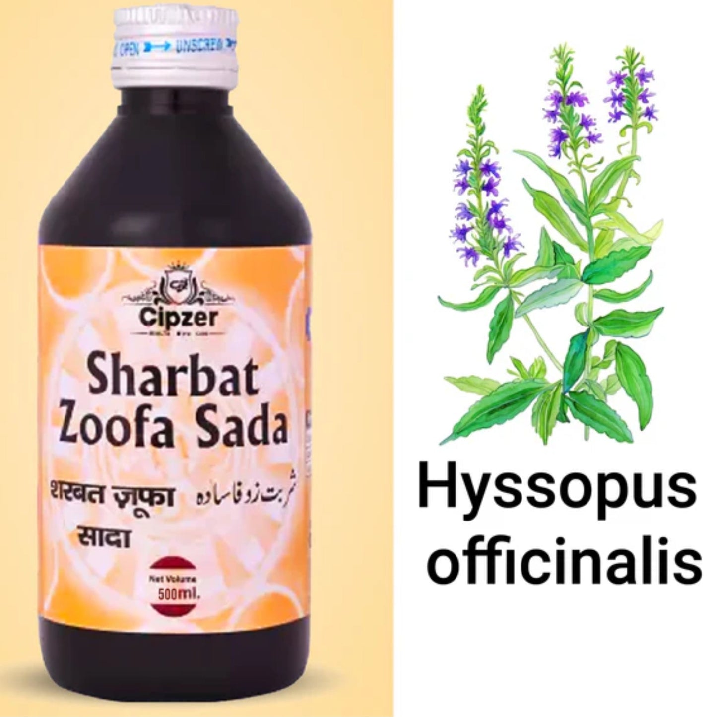 Cipzer Sharbat Zoofa Sada 500 ML | Herbal Syrup for Cough, Cold, Asthma, Bronchitis & Respiratory Care