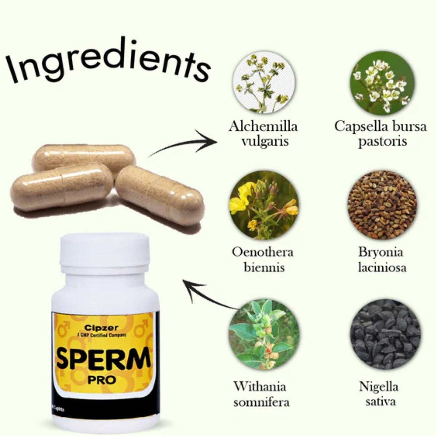 Cipzer Sperm Pro 60 Capsules | Boost Sperm Count, Motility, Male Fertility & Sexual Wellness
