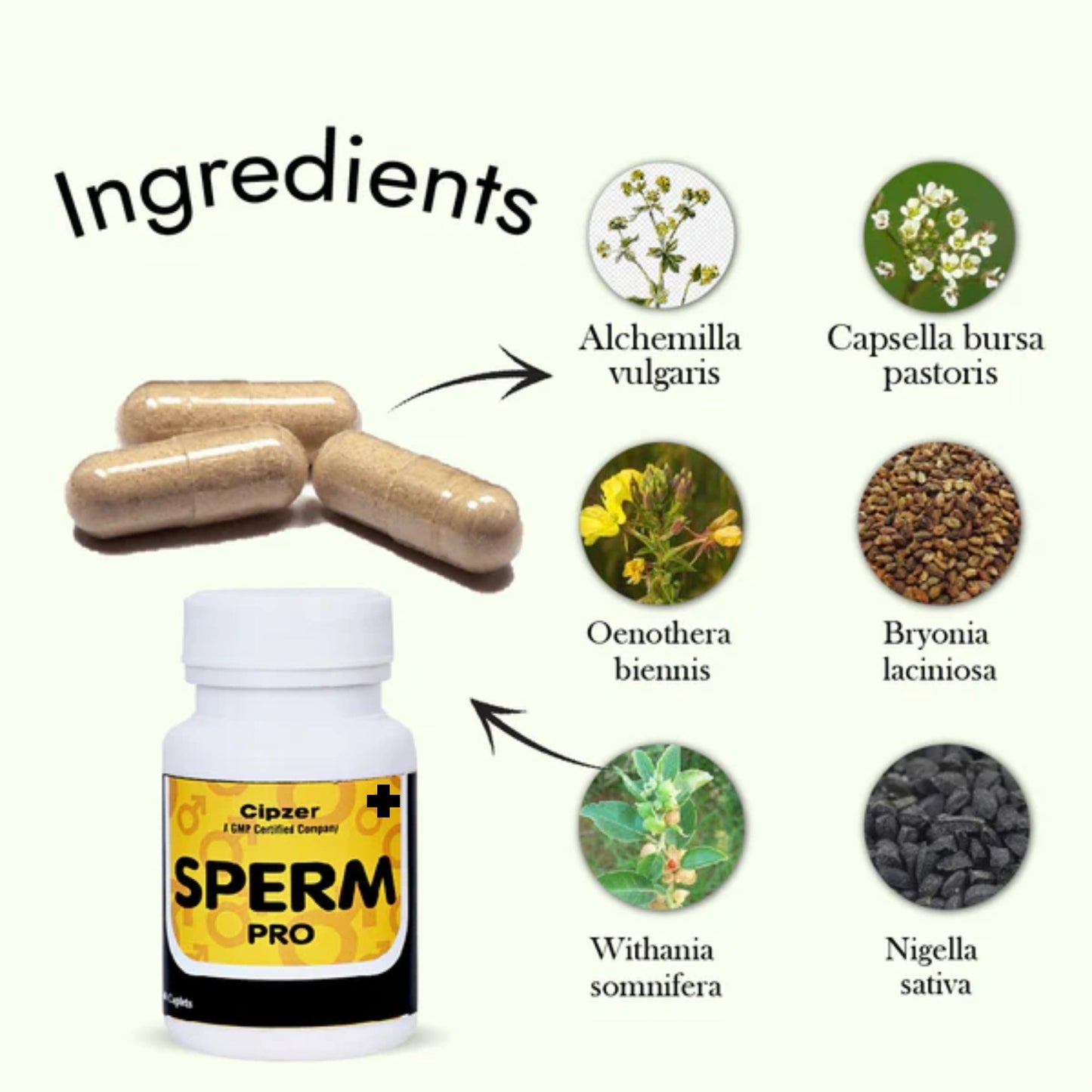 Cipzer Sperm Pro Plus 60 Capsules – Boost Sperm Quality, Quantity, Motility & Enhance Male Fertility