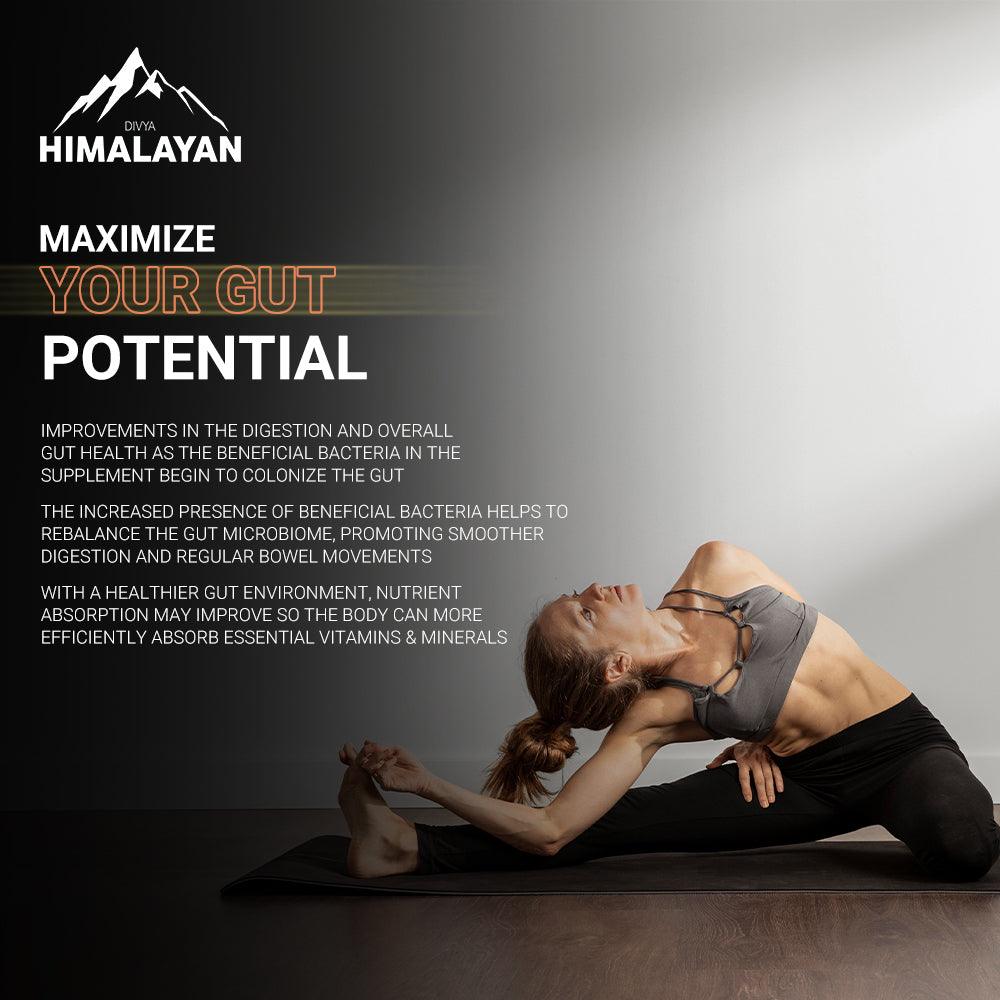 Divya Himalayan Probiotics Capsules