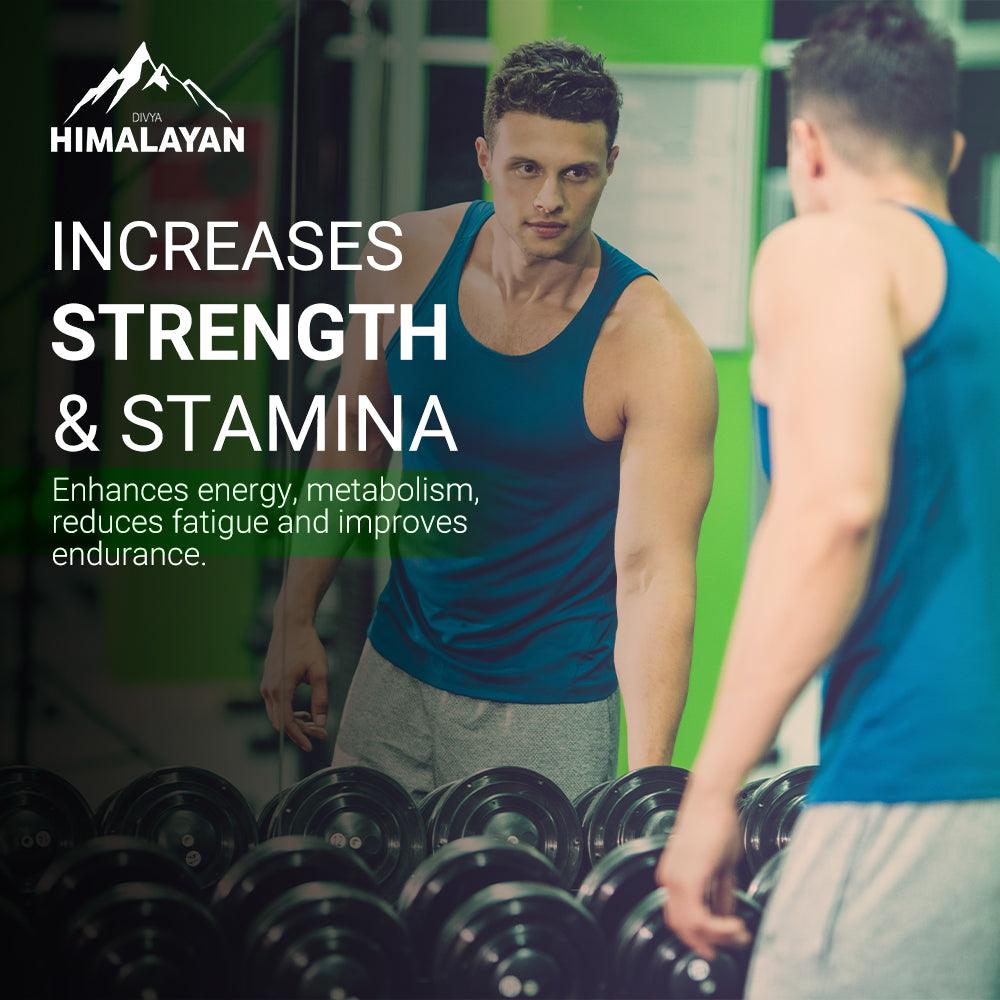 Divya Himalayan Shilajit Gold Resin - 20gm