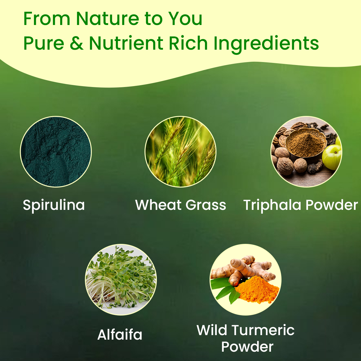 Vyas Ayurvedic Vitamin B12 Natural Powder