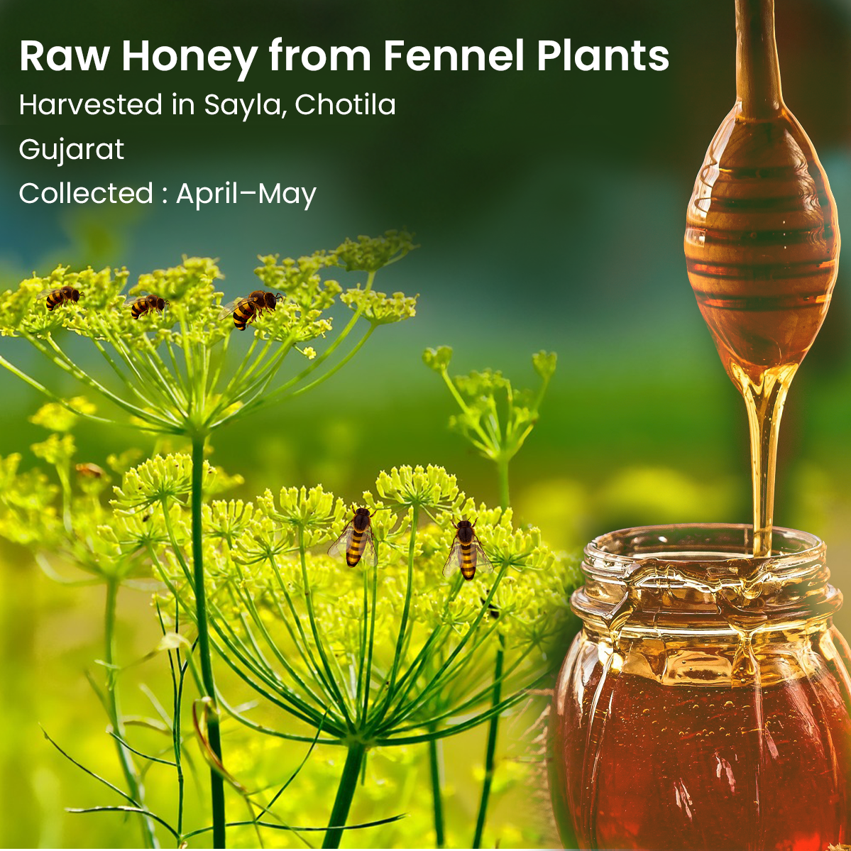 Vyas Ayurvedic Fennel Raw Honey