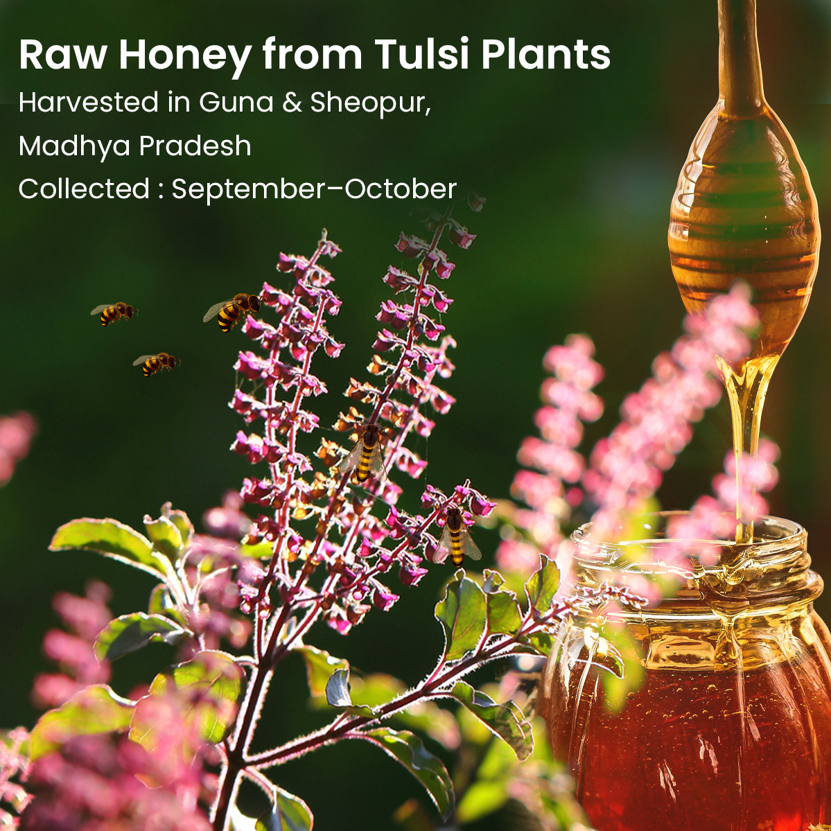 Vyas Ayurvedic Tulsi Raw Honey