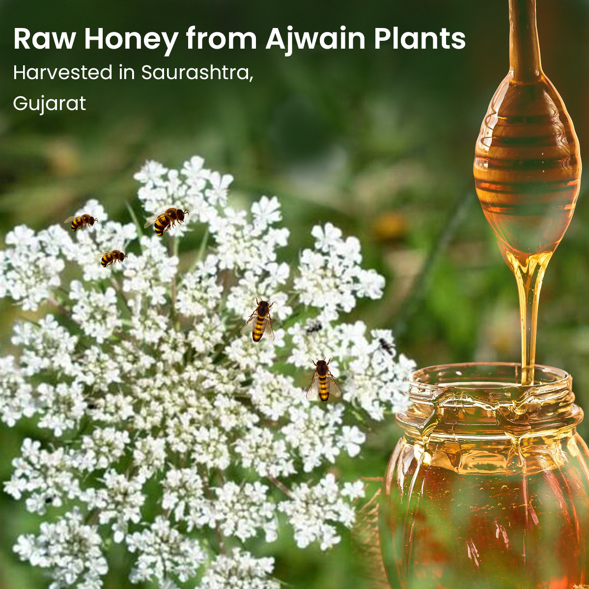 Vyas Ayurvedic Ajwain Raw Honey