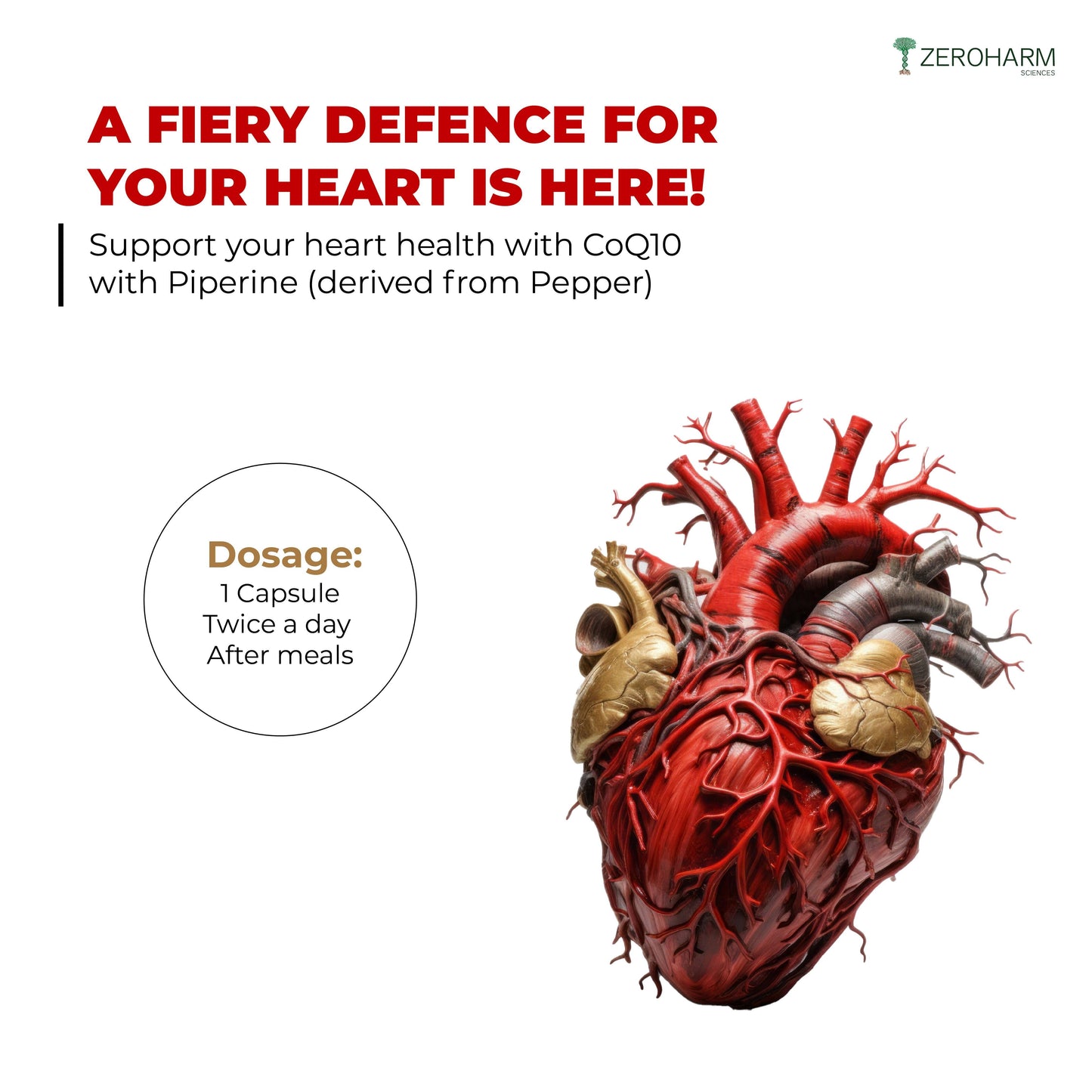 Zeroharm CoQ10 with Piperine Extract for Cellular Energy, Heart Health for Men & Women - 60 Capsules