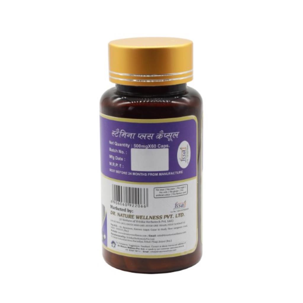 Dr. Nature Stamina Plus Capsule - 500mg - 60 Capsules