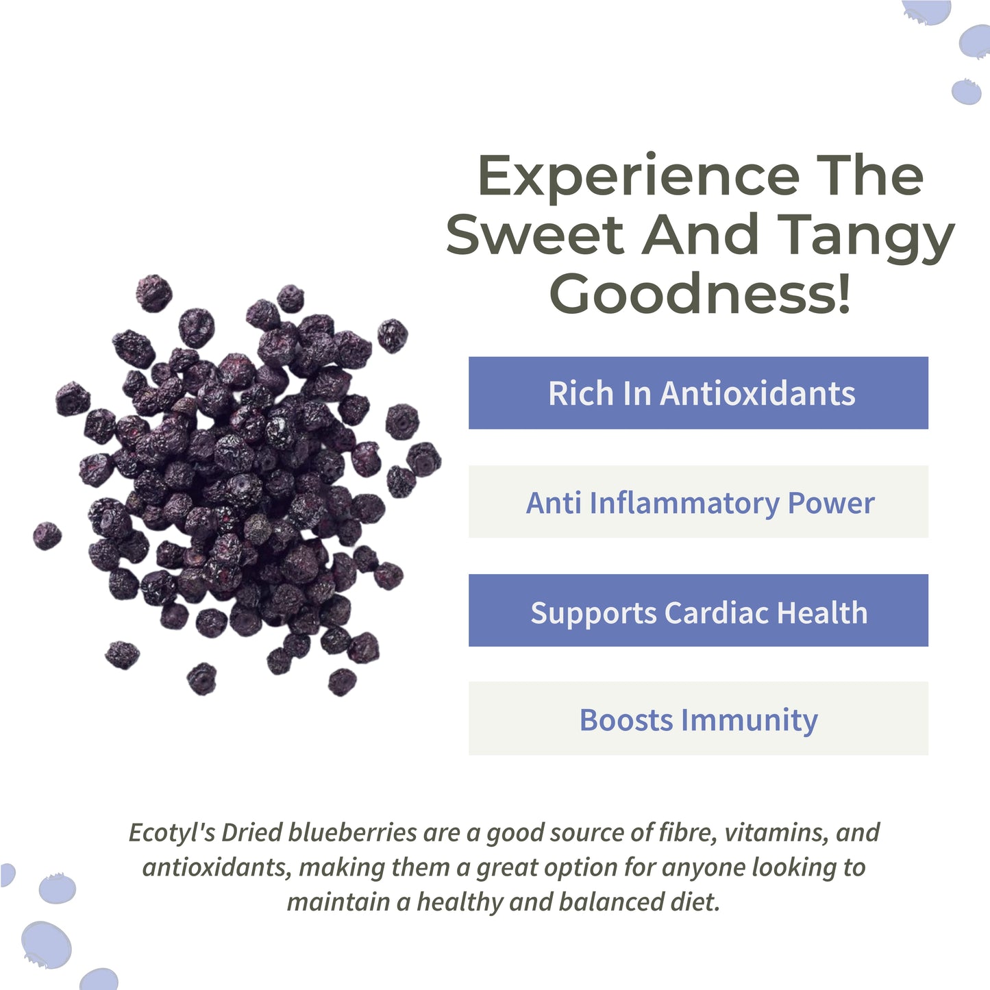 Ecotyl Dried Blueberries - 150gm