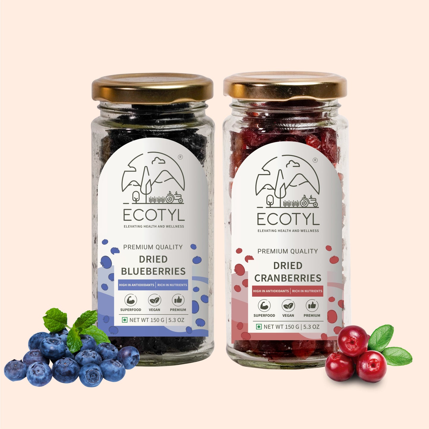 Ecotyl Combo Pack of Dried Blueberries & Dried Cranberries (150gm Each)