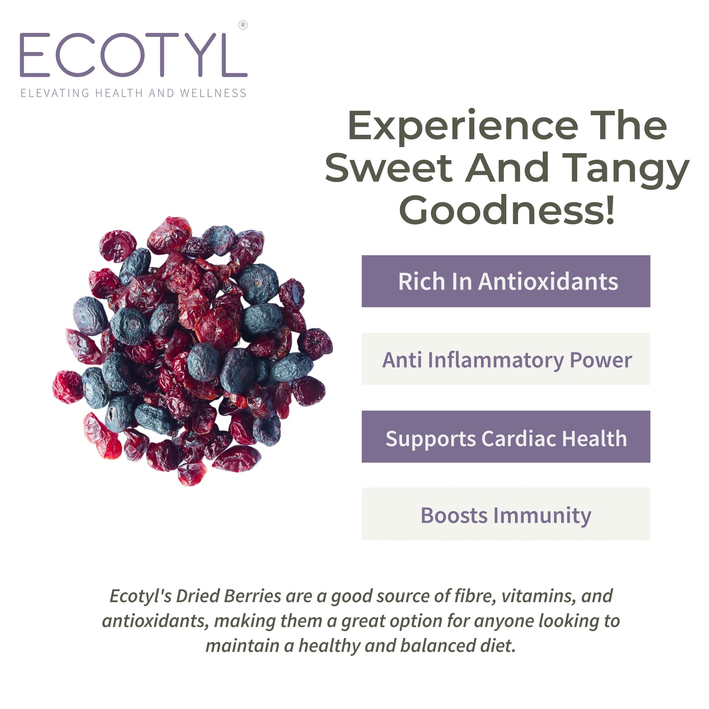 Ecotyl Combo Pack of Dried Blueberries & Dried Cranberries (150gm Each)