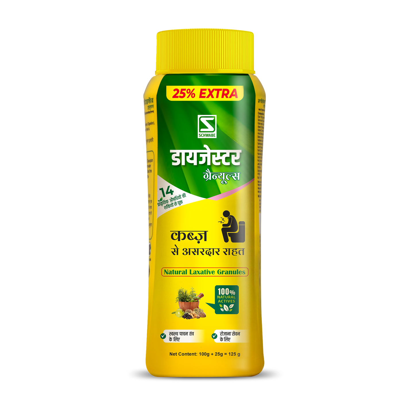 Schwabe Dizester Granules - 125gm