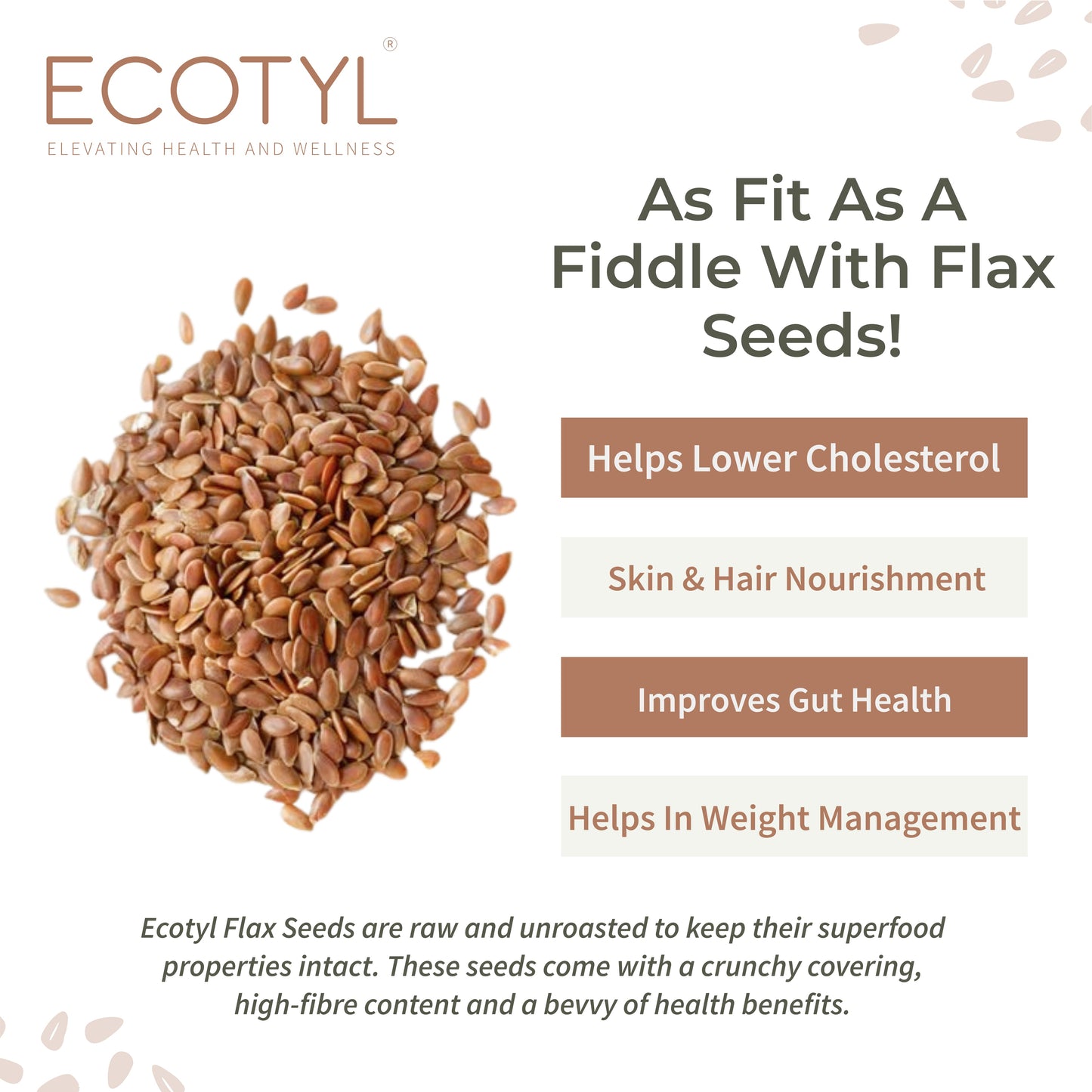 Ecotyl Flax Seeds (200gm Each) - Pack of 2