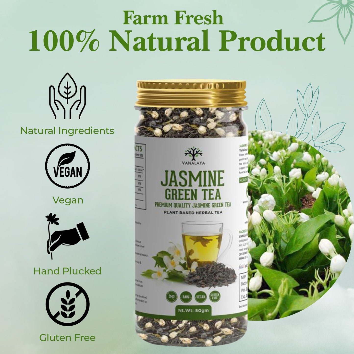 Vanalaya Jasmine Green Tea from Sun Dried Jasmine Petals for Clear Mind, Improve Mood, Stress Relief and Relives Anxiety 50gm