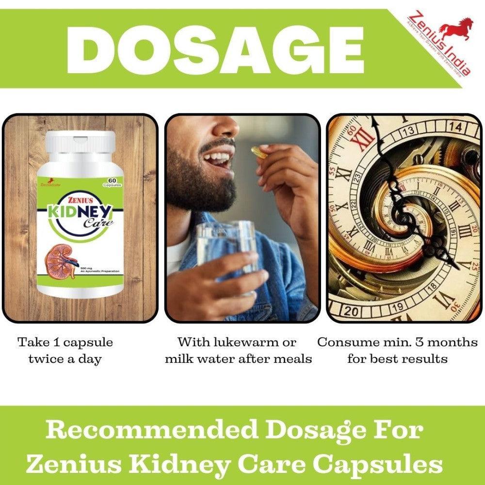 Zenius Kidney Care Capsule - kidney function relief 60 capsule