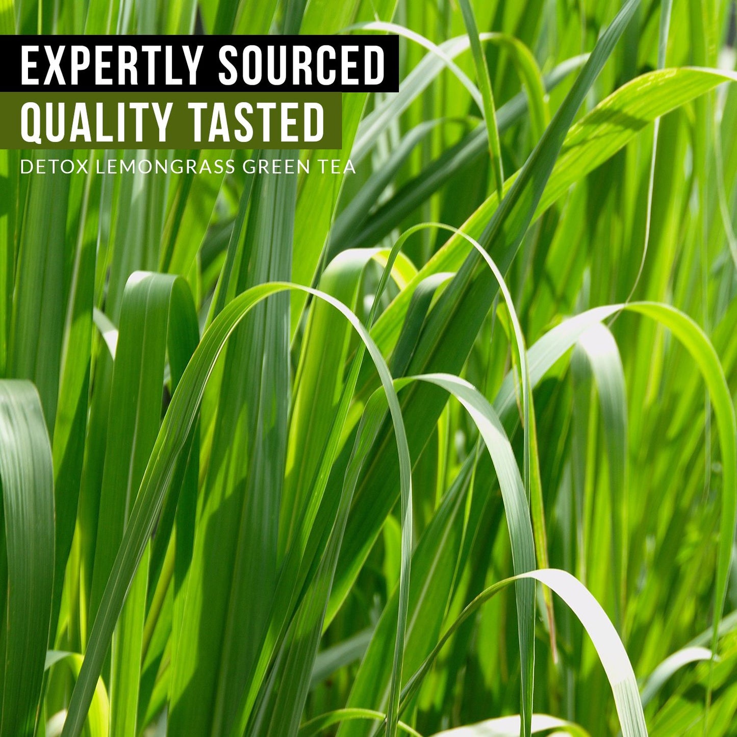 Vanalaya Lemongrass Green Tea for Detox Weight Loss & Digestion