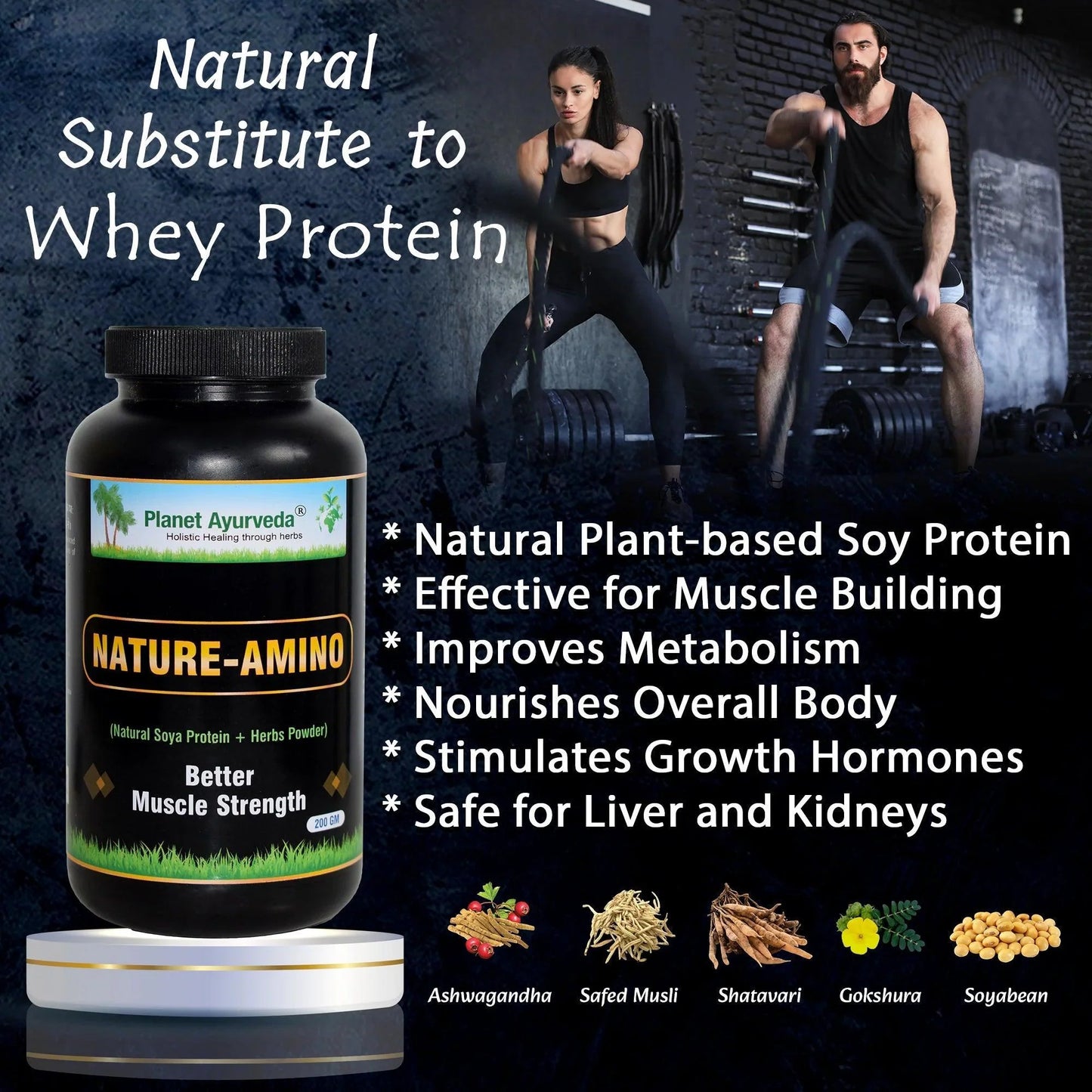 Planet Ayurveda Natur-Amino Powder - 200gm Powder