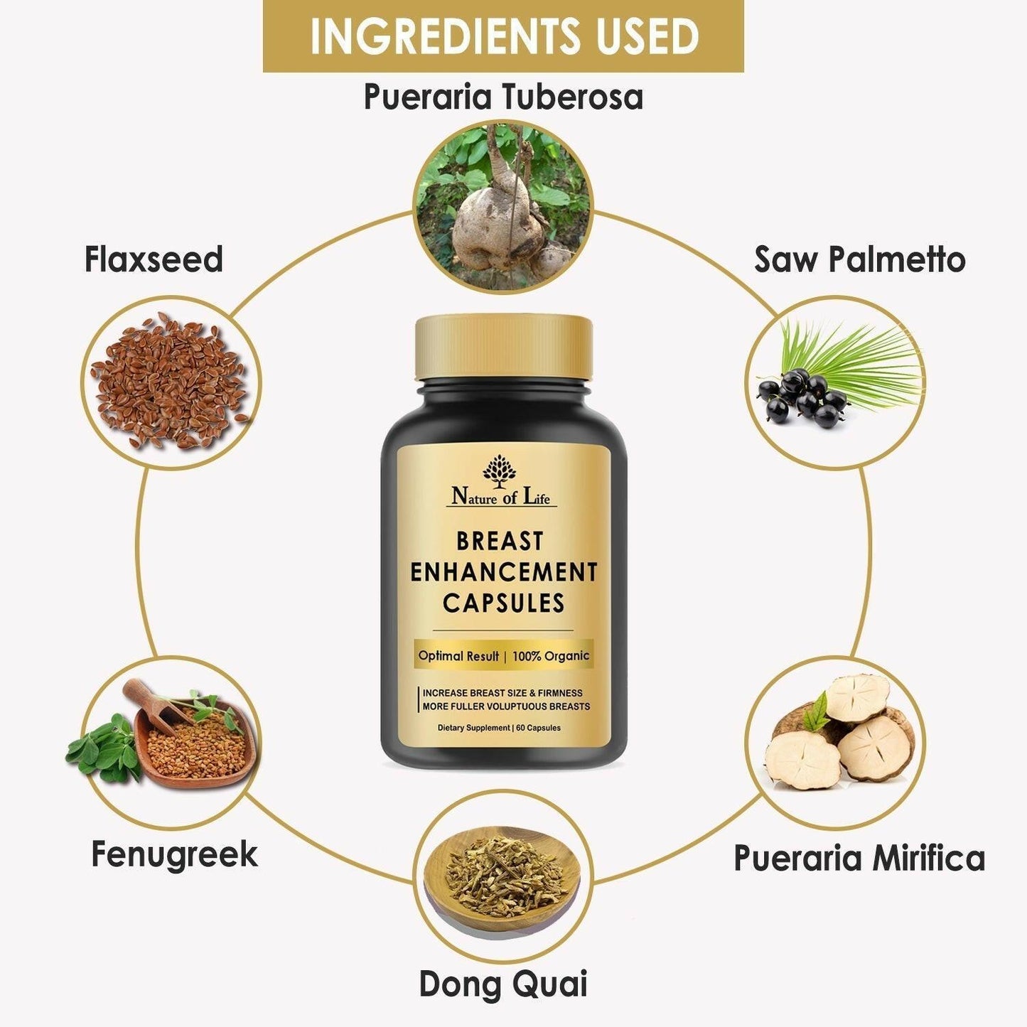 Nature of Life Breast Enhancement Capsule