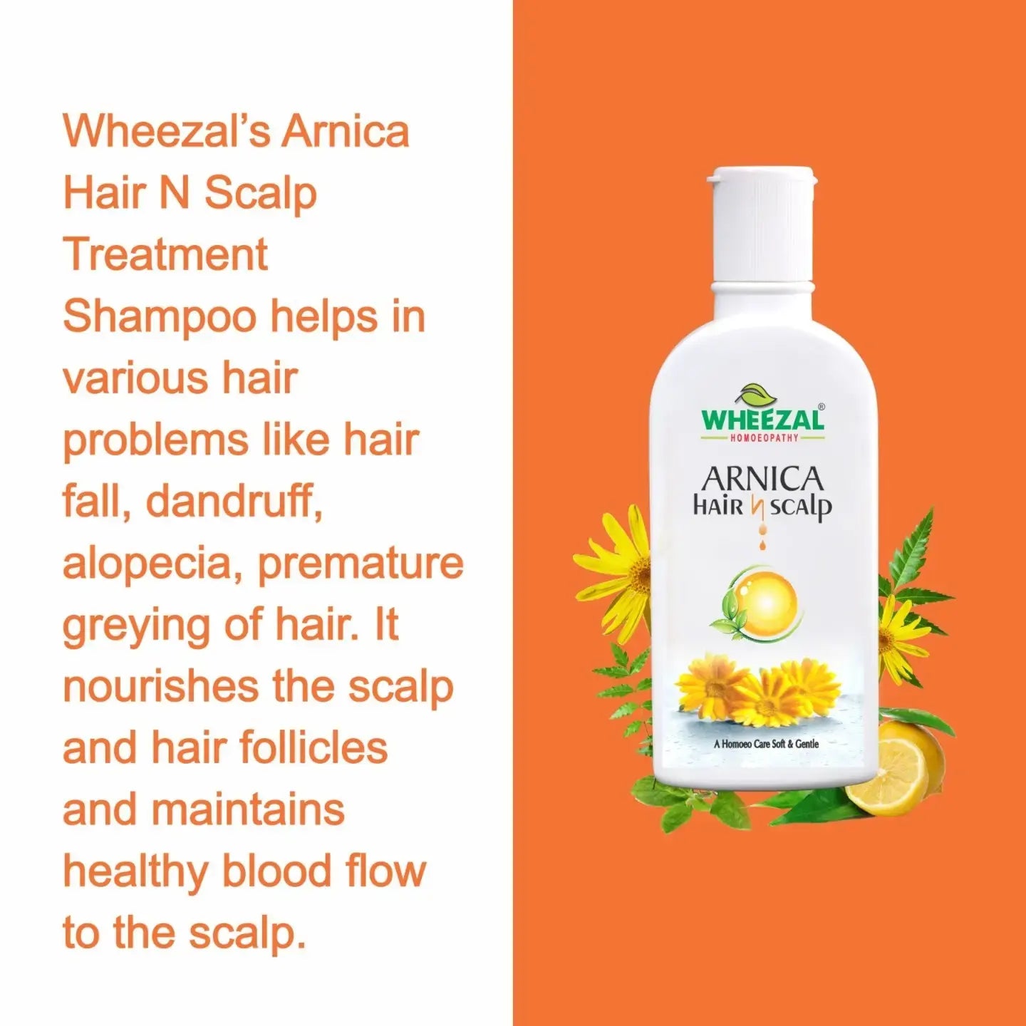 Wheezal Arnica Hair N Scalp Treatment Shampoo