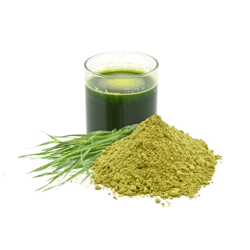 Satopradhan Wheatgrass Juice Powder 100g - Made from Organic Wheatgrass Shoots grown using Sharbati Wheatberries | Gluten-free