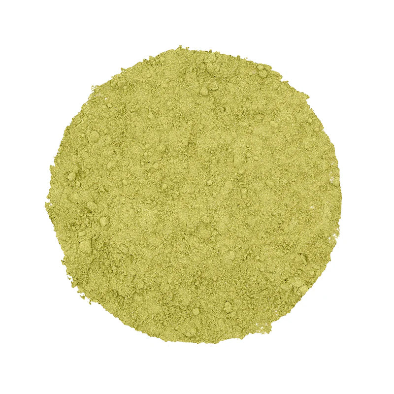 Satopradhan Wheatgrass Juice Powder 100g - Made from Organic Wheatgrass Shoots grown using Sharbati Wheatberries | Gluten-free