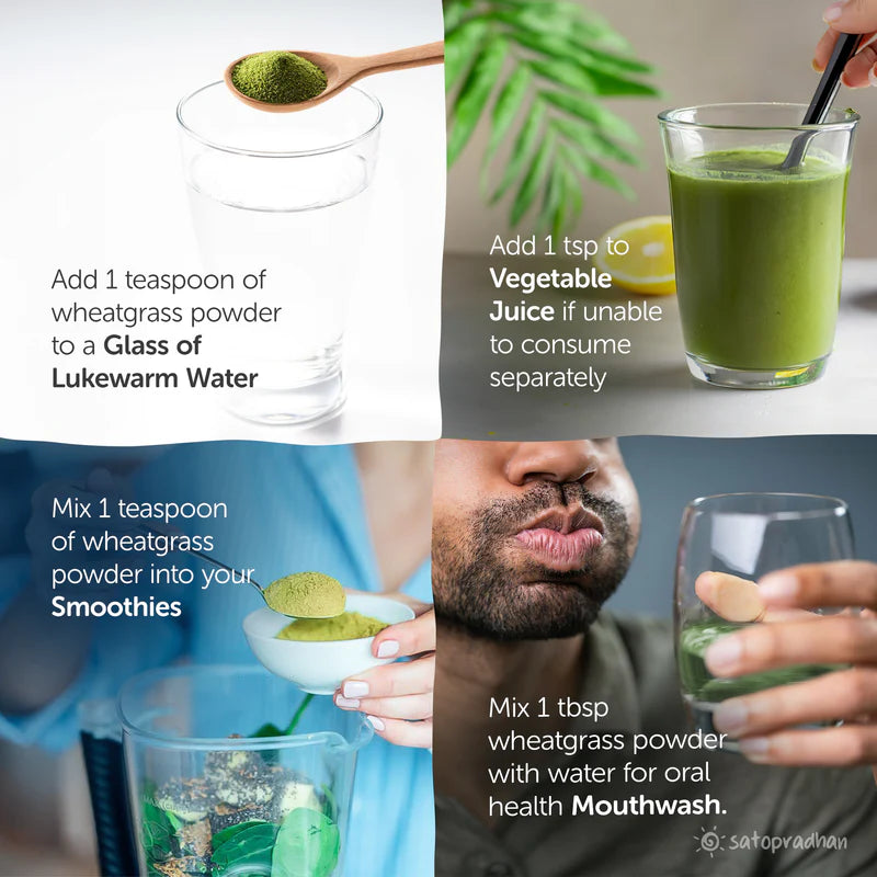 Satopradhan Wheatgrass Juice Powder 100g - Made from Organic Wheatgrass Shoots grown using Sharbati Wheatberries | Gluten-free