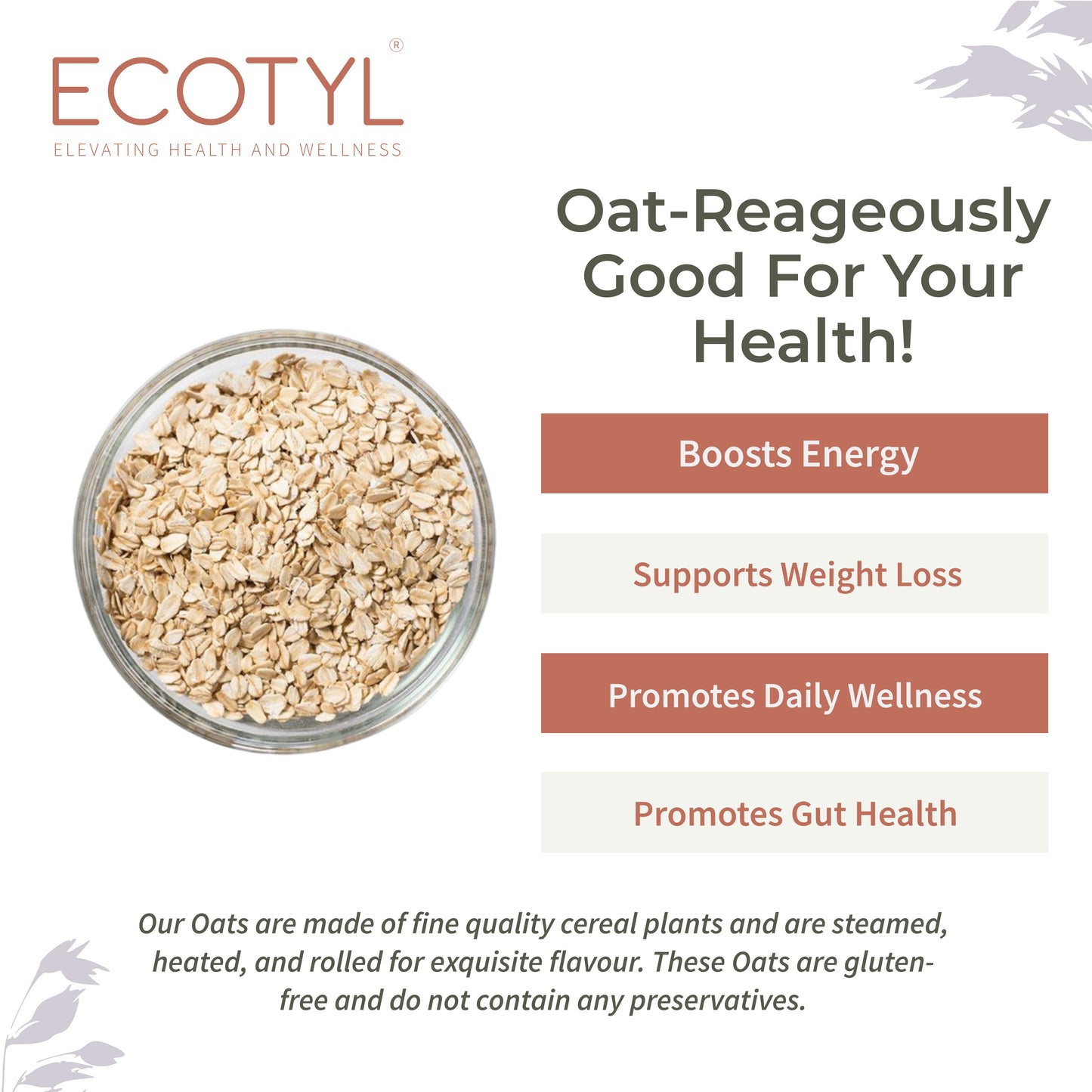 Ecotyl Rolled Oats | Gluten Free | Protein Rich | 500g