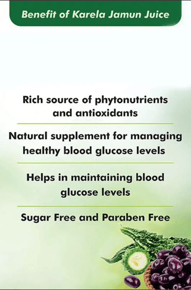 Baidyanath Karela Jamun Juice - 1 Litre