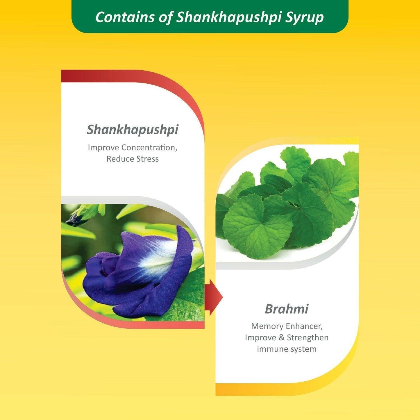 Baidyanath (Jhansi) Shankha Pushpi - 450ml