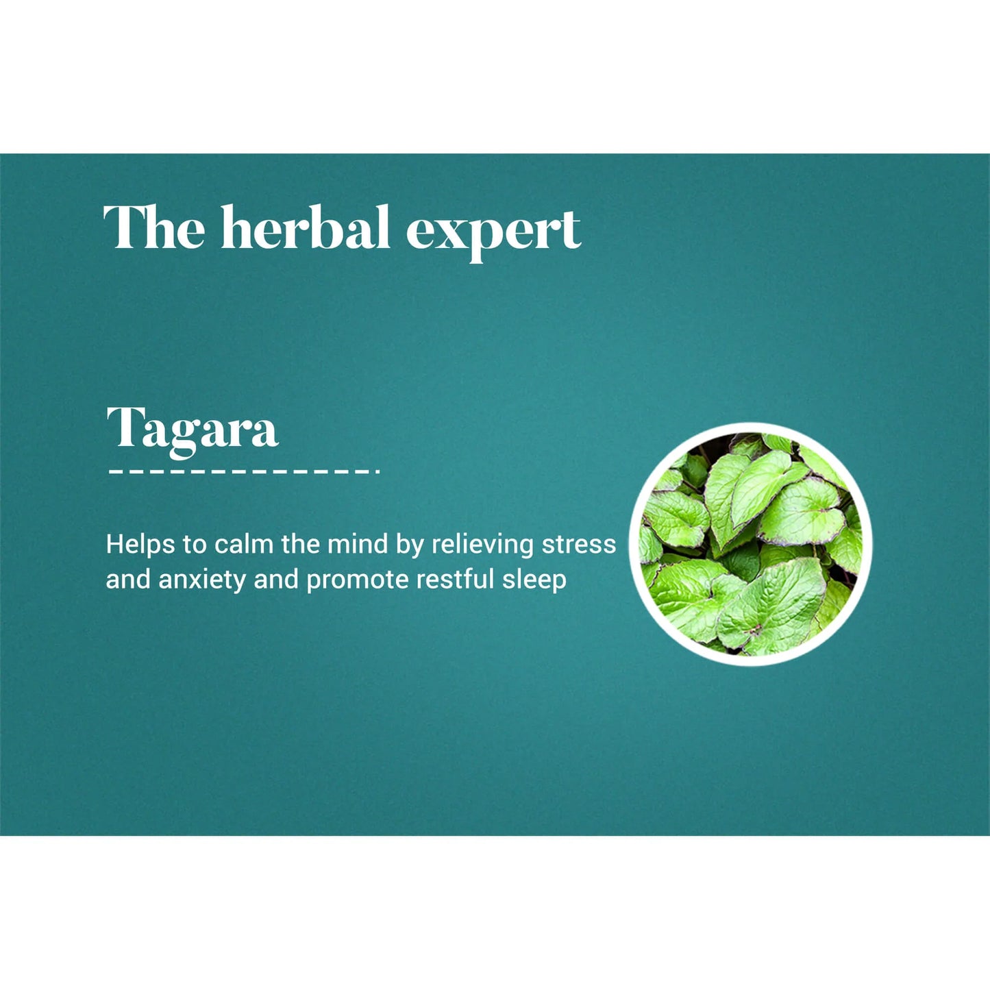 Himalaya Tagara Tablet | Promotes Restful Sleep - 60 Tablets