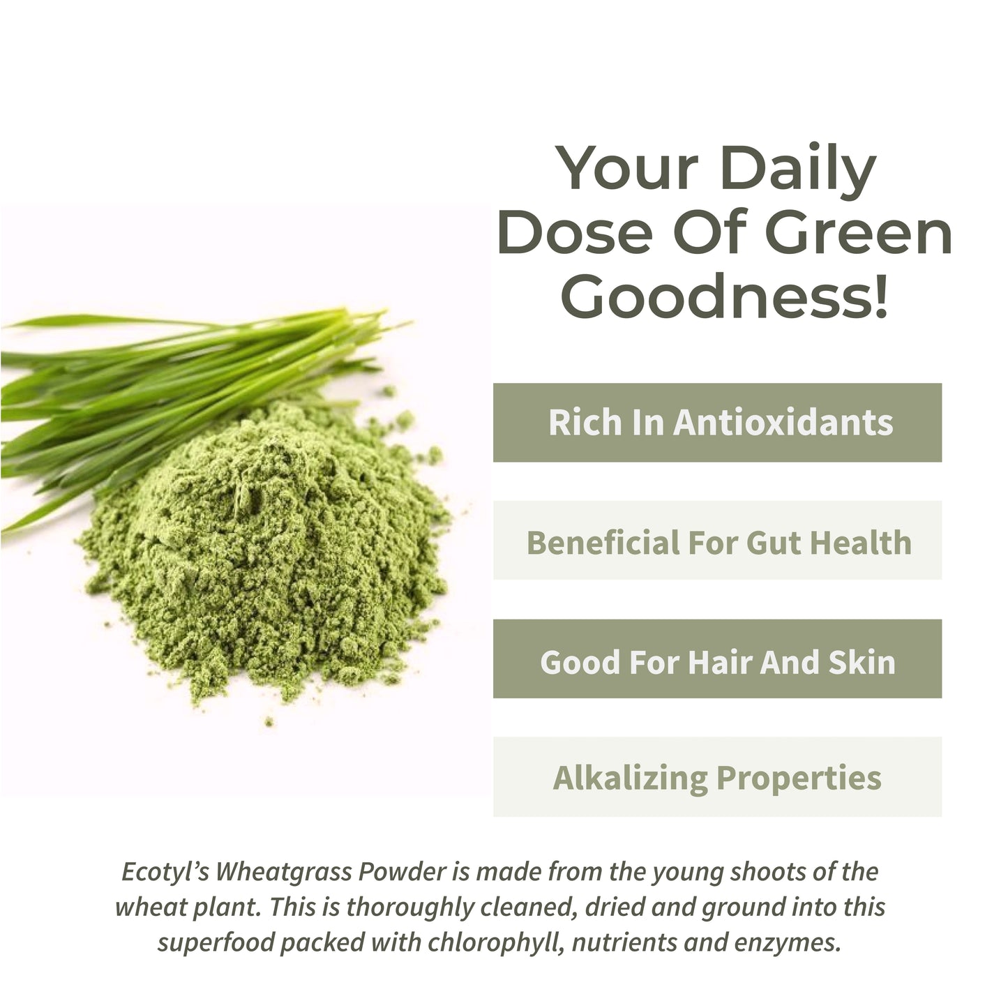 Ecotyl Wheatgrass Powder - 100gm