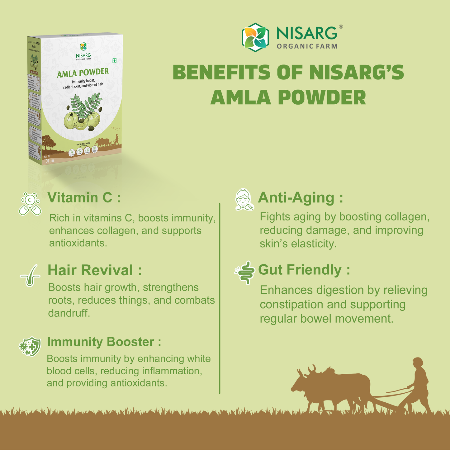Nisarg Organic Farm Amla Powder
