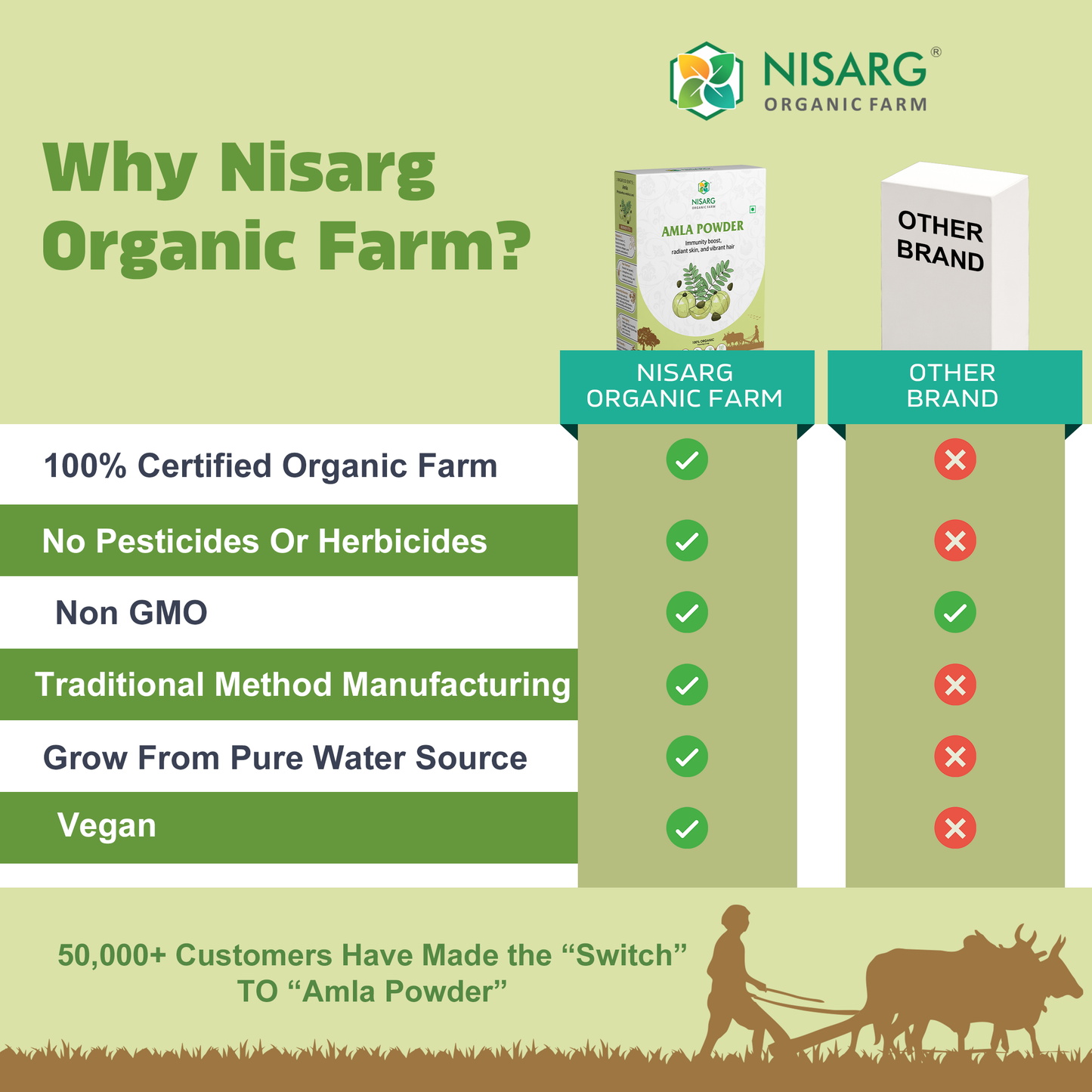 Nisarg Organic Farm Amla Powder