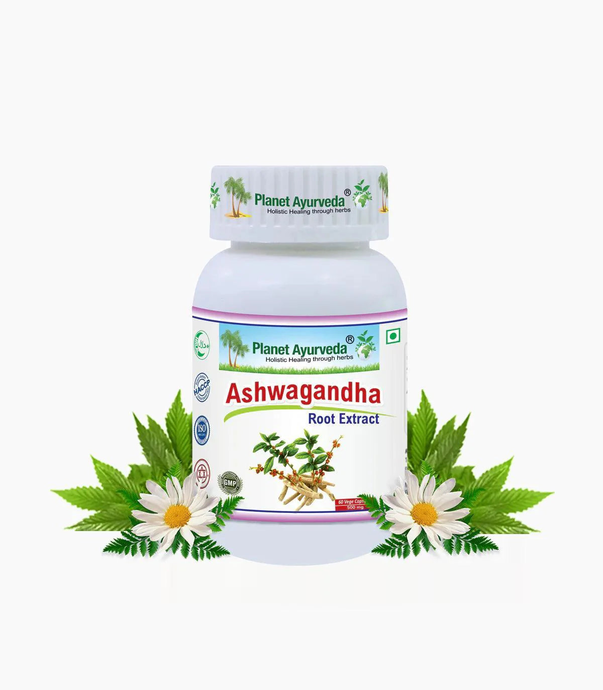 Planet Ayurveda Ashwagandha Capsule - 60 Capsules