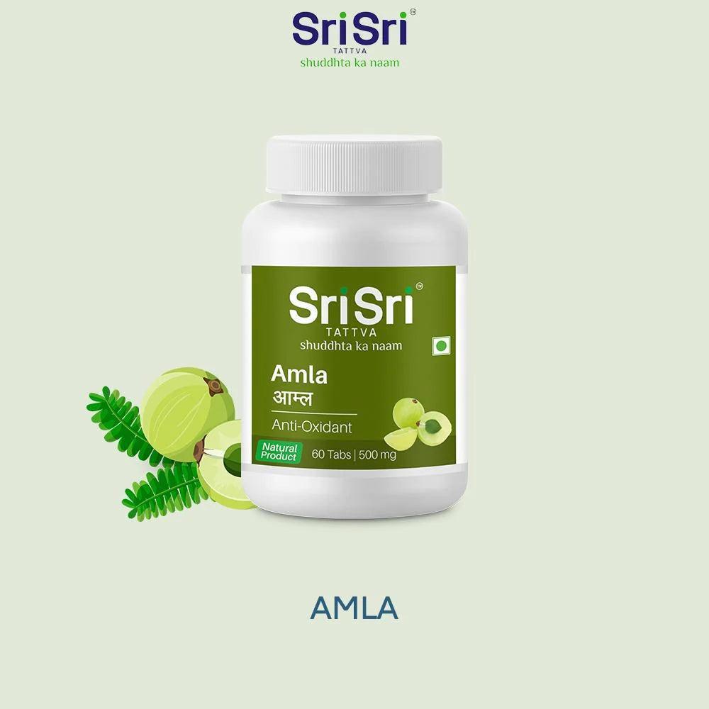 Sri Sri Tattva Amla Tablet - 500mg - 60 Tablets - Pack of 2