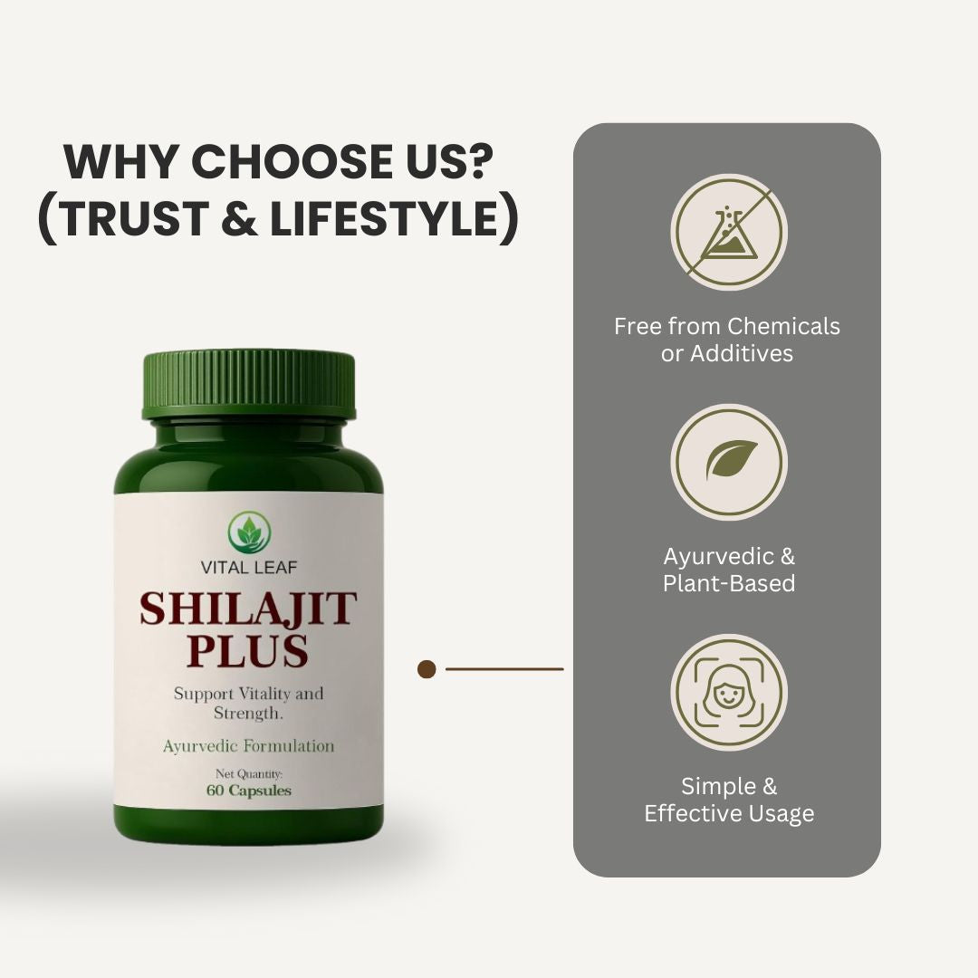 Vital Leaf Shilajit Plus Capsules – Ayurvedic Blend with Shilajit, Ashwagandha, Safed Musli & Gokshura – 60 Plant-Based Capsules – Natural Herbal Supplement