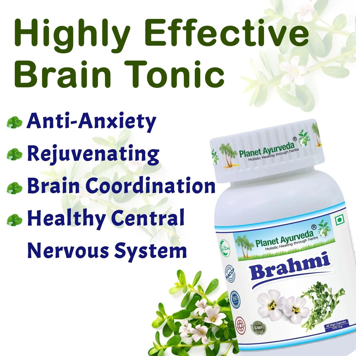 Planet Ayurveda Brahmi Capsule - 60 Capsules