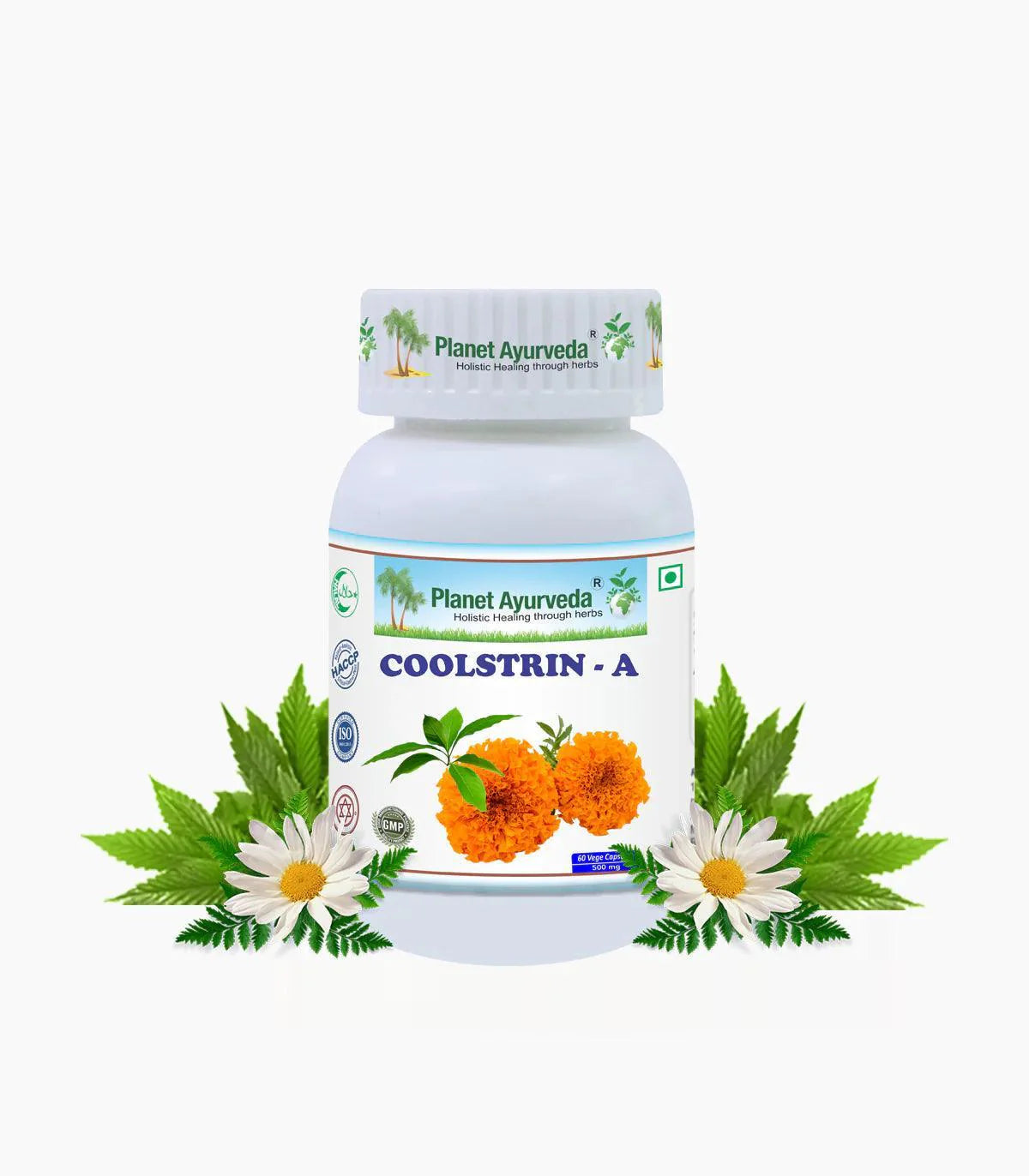 Planet Ayurveda Coolstrin-A Vege Capsule - 60 Capsules