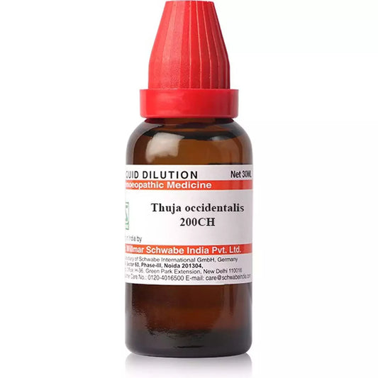Dr Willmar Schwabe India Thuja Occidentalis Dilution 200 CH - Pack of 3