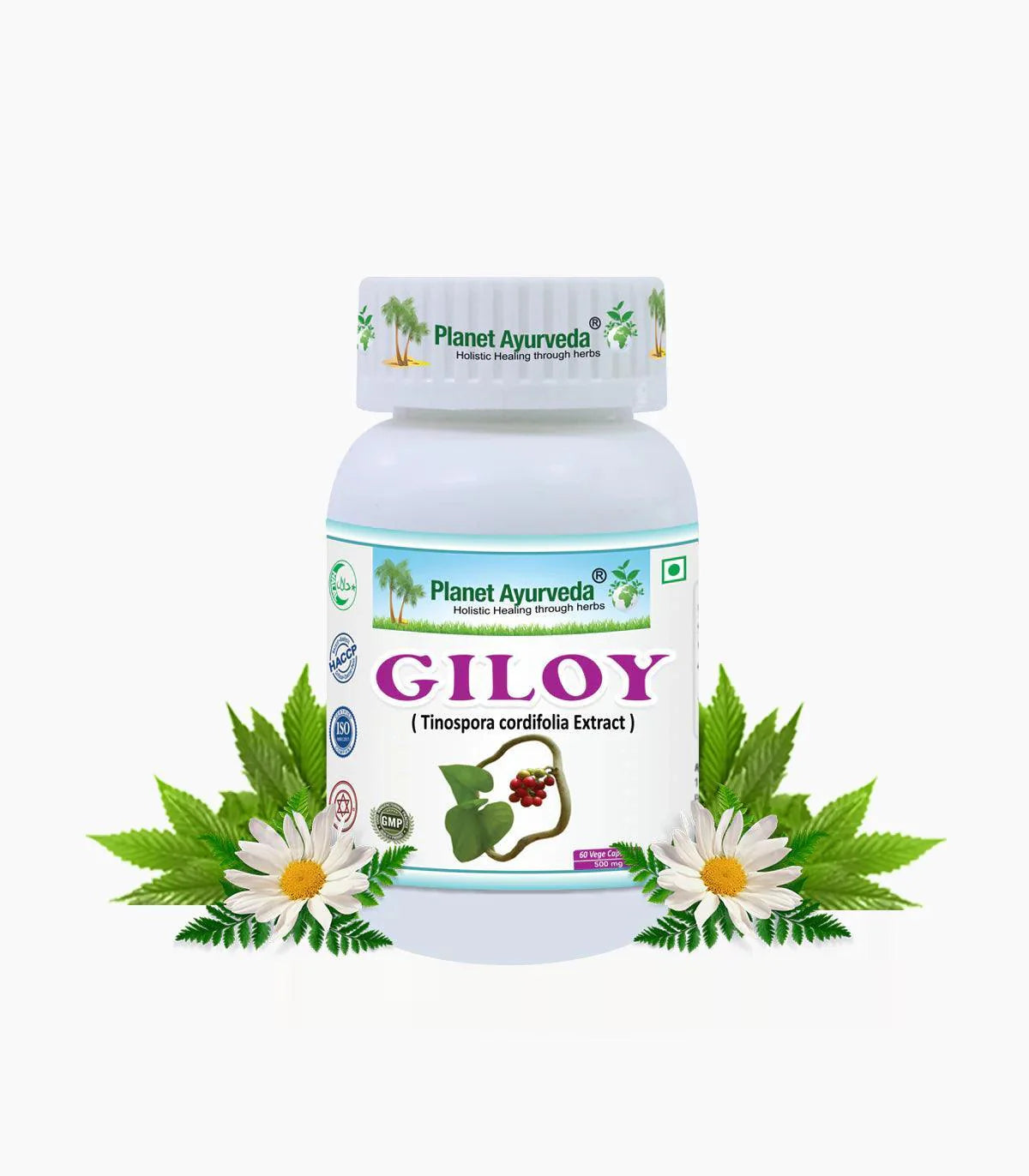 Planet Ayurveda Giloy Capsule - 60 Capsules