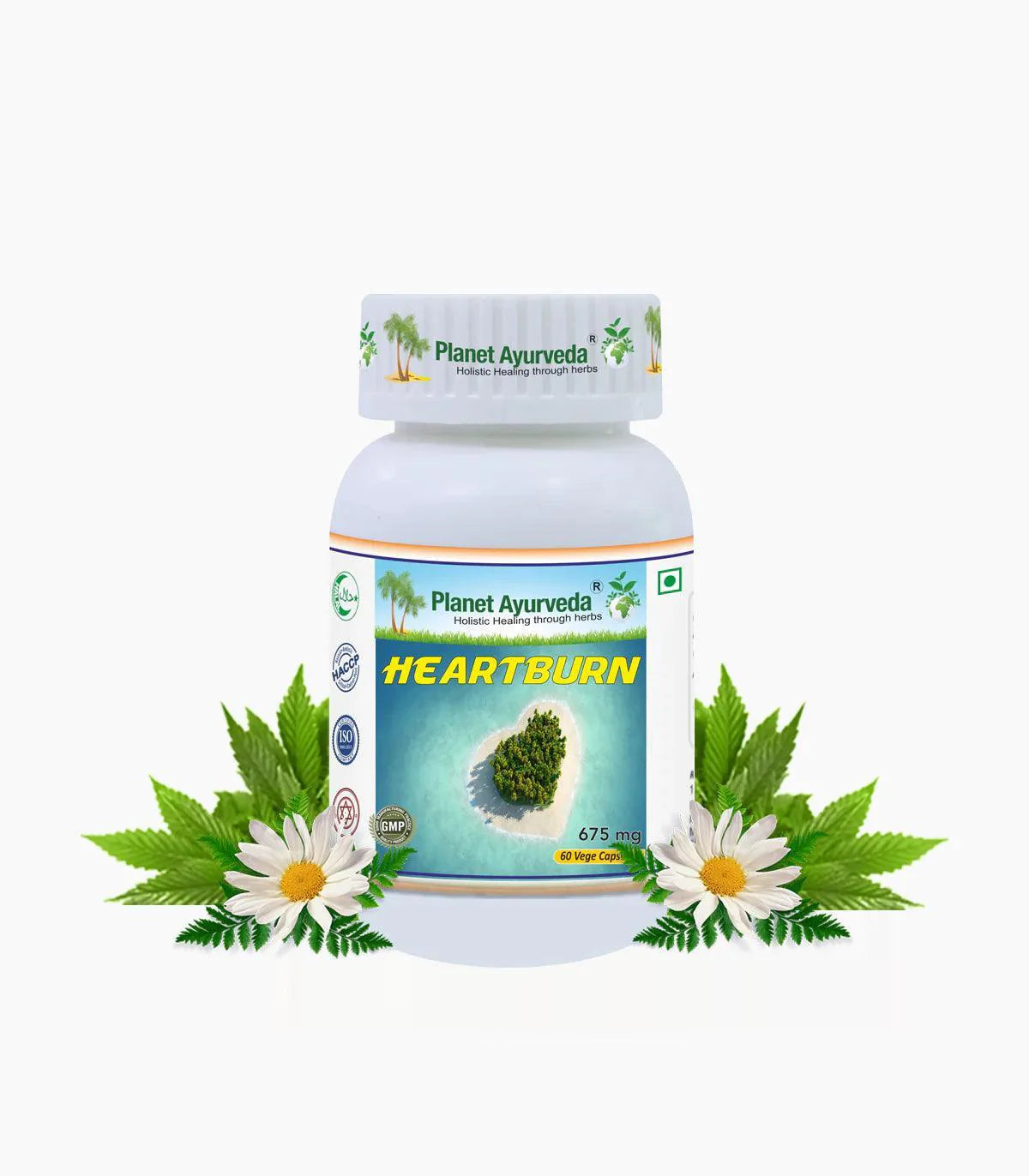 Planet Ayurveda Heartburn Capsule - 60 Capsules