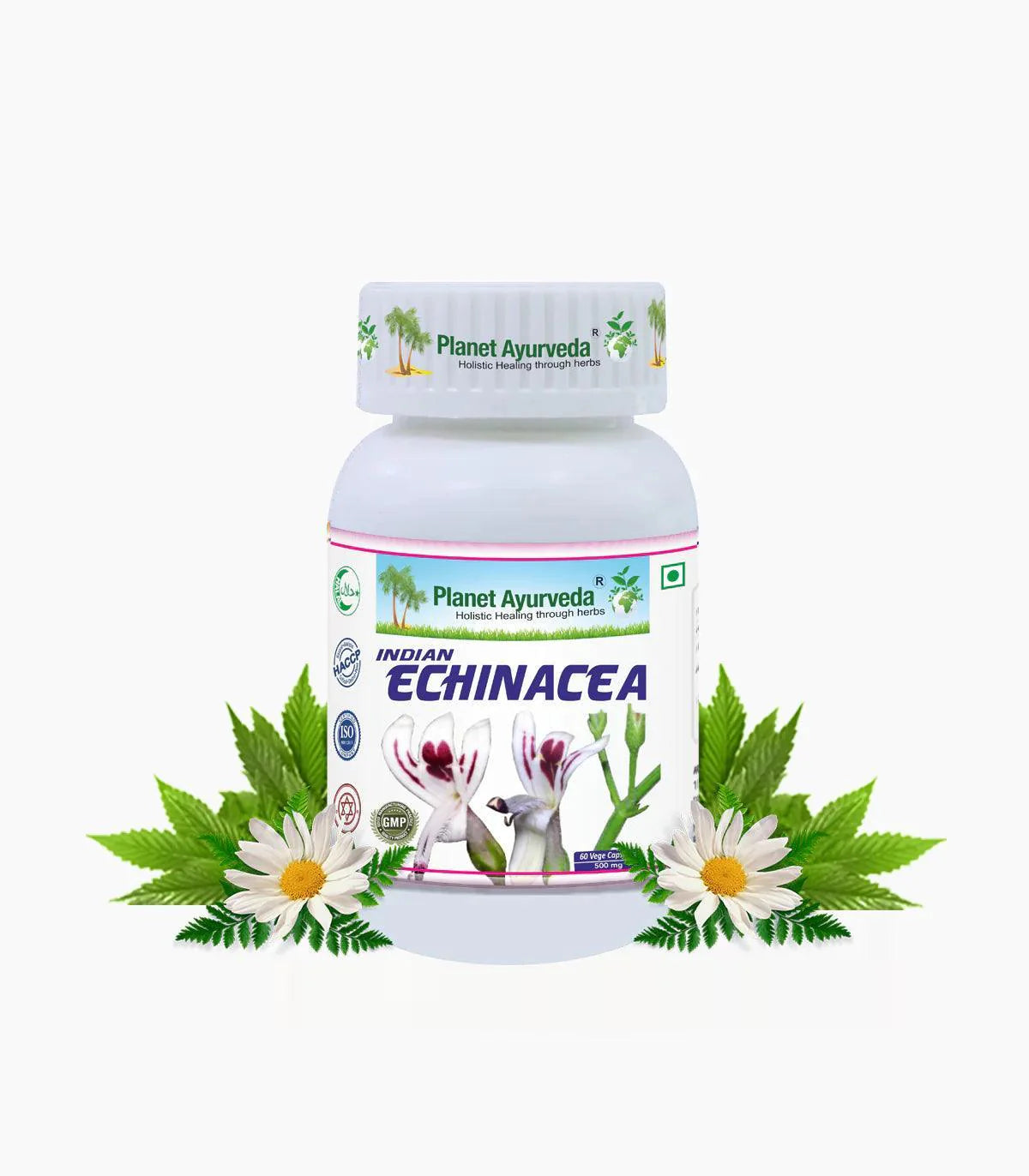 Planet Ayurveda Indian Echinacea Capsule - 60 Vege Capsules