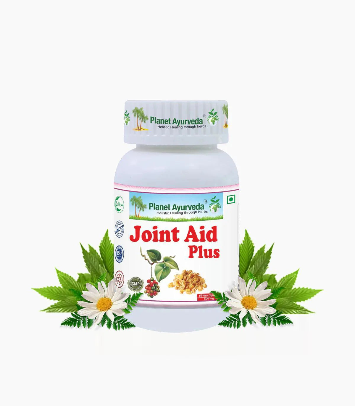 Planet Ayurveda Joint Aid Plus Capsule - 60 Capsules