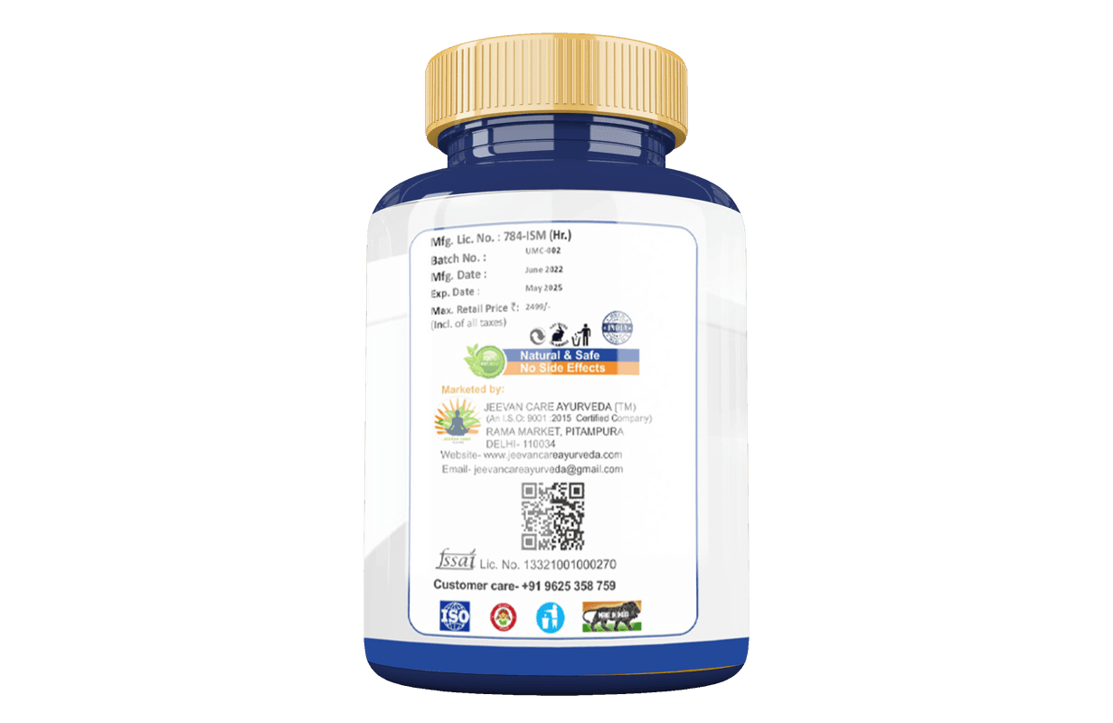 Divya Shree Urtho Vedna Mukti Capsule - (60 Capsule)